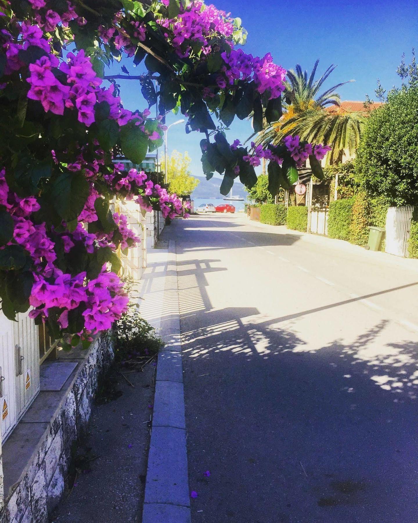 Hotel Splendido Bay Tivat Zewnętrze zdjęcie